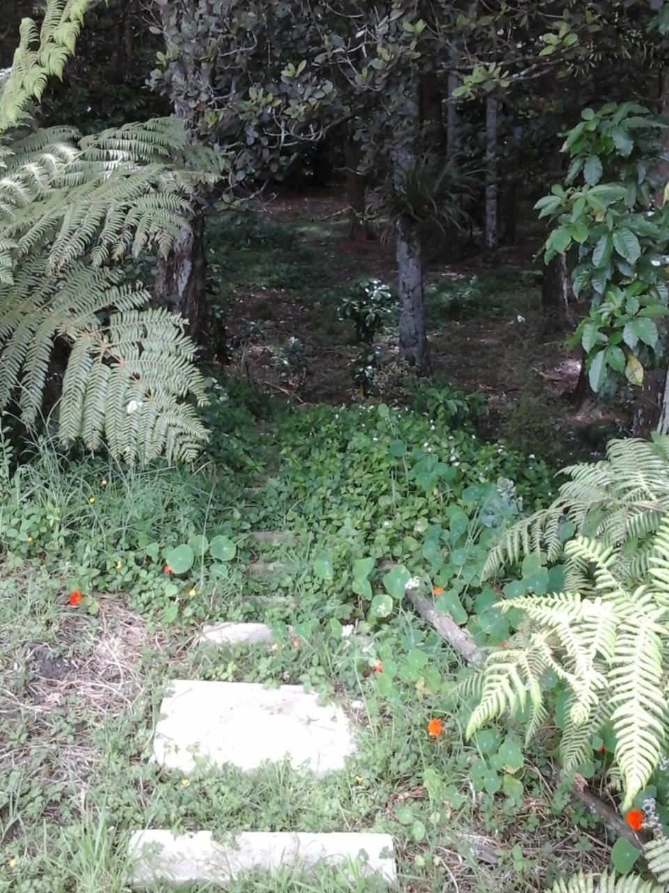 Pulau Weh Ξενοδοχείο Matakana Εξωτερικό φωτογραφία
